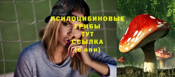 спиды Абинск